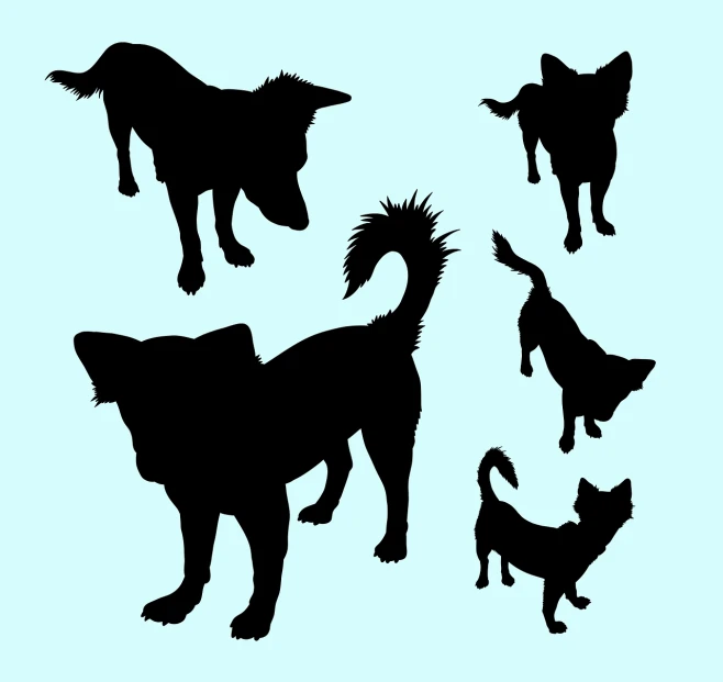 a collection of dog silhouettes on a blue background, vector art, by Maeda Masao, conceptual art, chihuahua, sassy pose, you can see in the picture, mule