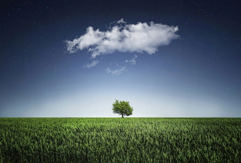 a lone tree sitting on top of a lush green field, a stock photo, by Adam Marczyński, shutterstock, minimalism, night sky with clouds and stars, “puffy cloudscape, cloud server, clemens ascher