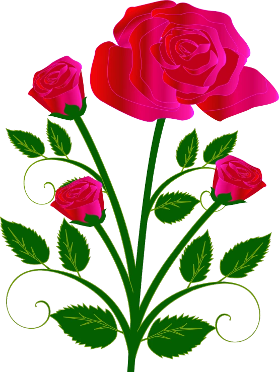 a bunch of pink roses with green leaves, by Svetlin Velinov, vector images, beautiful flower, red swirls, tall flowers