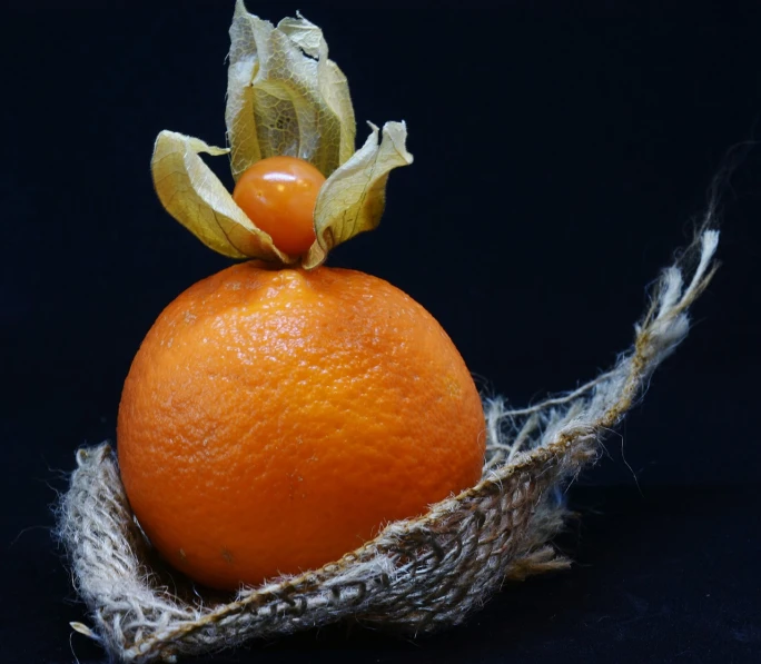 a close up of an orange on a black background, inspired by Cornelis de Heem, figuration libre, miniature product photo, gauze, fruit basket, close-up product photo