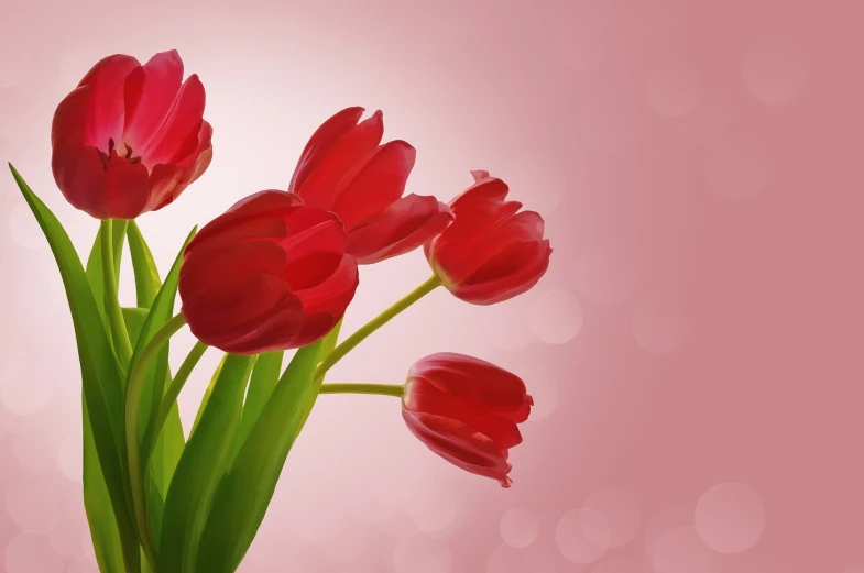 a bunch of red tulips are in a vase, a digital rendering, shutterstock, romanticism, flower background, close - up photo