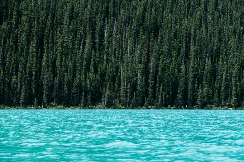 a large body of water with a forest in the background, by Richard Carline, pexels, fine art, banff national park, water texture, teal skin, the photo was taken from a boat