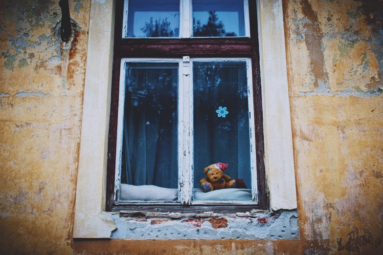 a teddy bear sitting in a window sill, a photo, by Ivan Grohar, winter vibes, lviv, cute dog, lost place photo