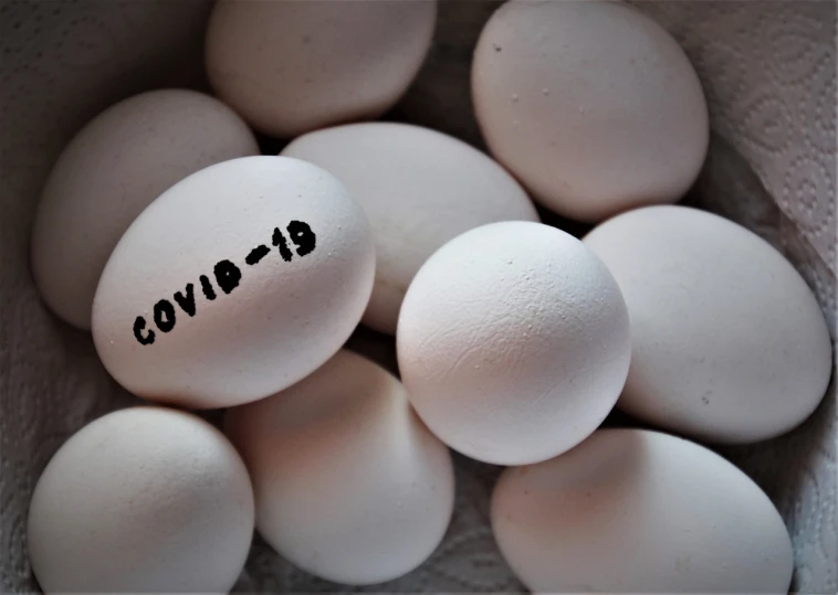 a bunch of eggs with the word bravo written on them, a picture, by Georgina Hunt, happening, coronavirus, egypt, listing image, blank