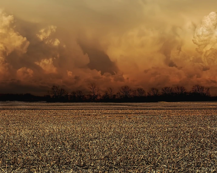 a red fire hydrant sitting in the middle of a field, a photo, inspired by Phil Koch, tonalism, dark mammatus cloud, panorama, warm colors--seed 1242253951, illinois