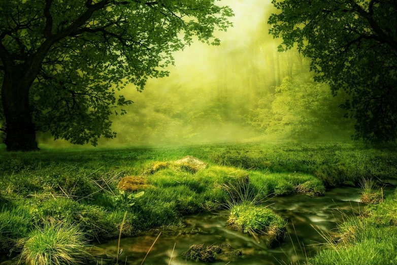 a stream running through a lush green forest, a picture, romanticism, mobile wallpaper, glowing fog, green meadow, green colours