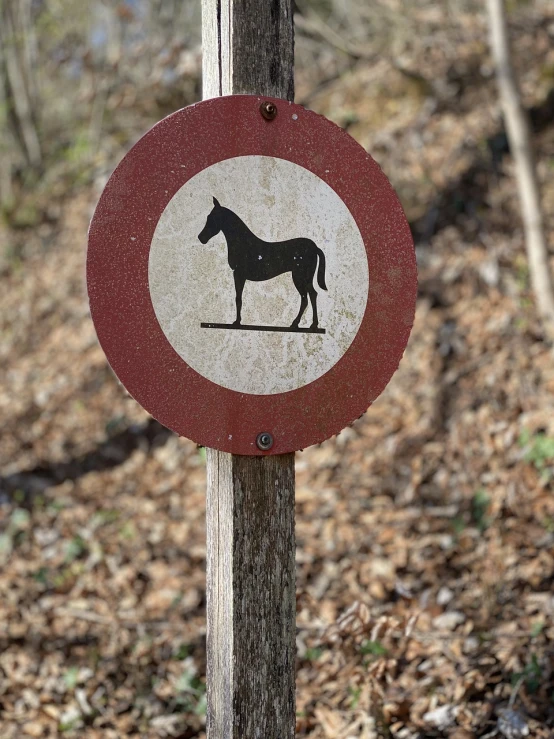 a red and white sign with a horse on it, a picture, by Jan Kupecký, high quality photos, ligjt trail, very round, mule