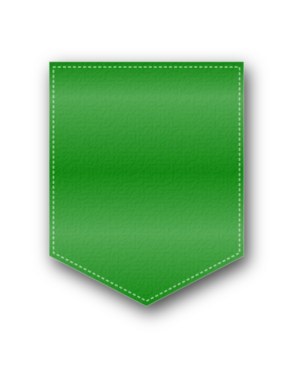 a green leather pocket on a white background, a screenshot, inspired by Masamitsu Ōta, pixabay, symbolism, vector graphics forum badge, black border, wide ribbons, fantasy shield