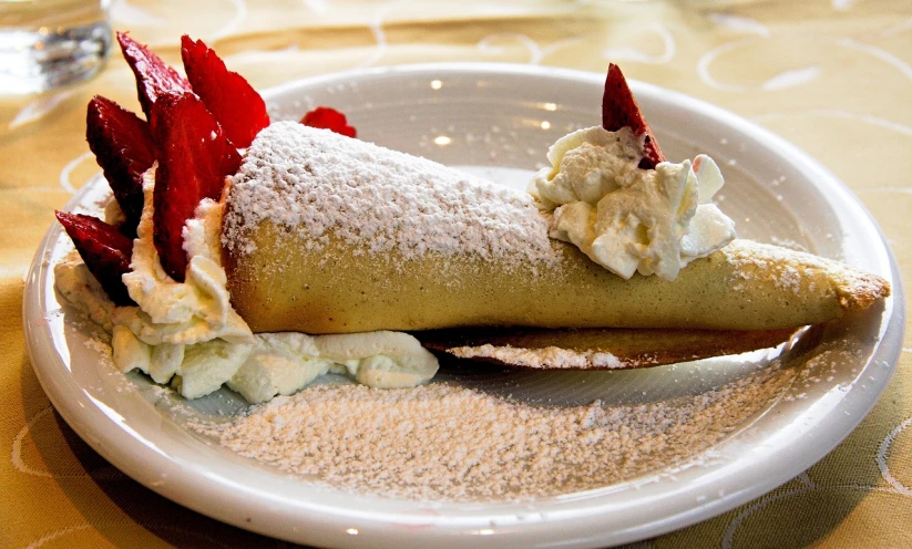 a white plate topped with a pastry covered in powdered sugar, by Aleksander Gierymski, flickr, renaissance, pancake short large head, including a long tail, sharply detailed, whipped cream