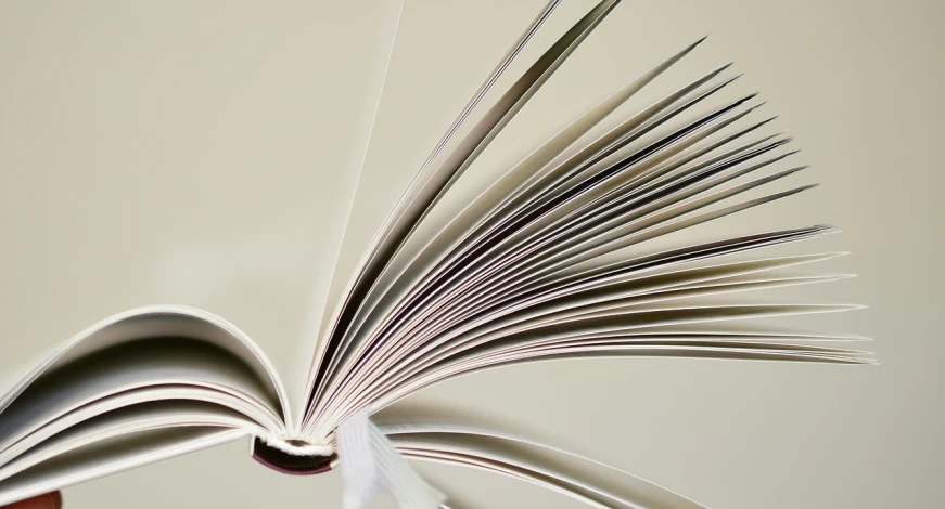 an open book sitting on top of a table, by Julian Allen, close up. macro. hyper realistic, calatrava, colour photograph, 4 0 9 6