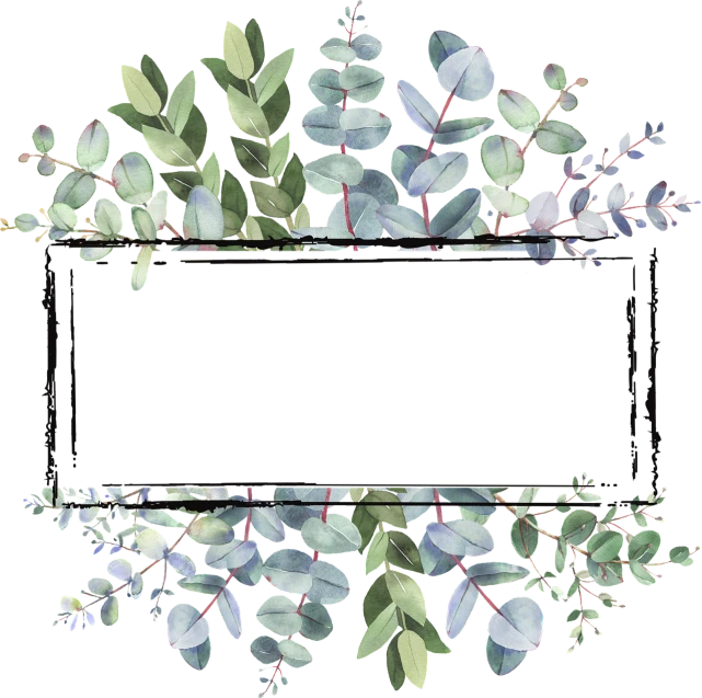 a bunch of green leaves on a black background, a digital rendering, art deco, eucalyptus, flower frame, watercolor painting style, squared border