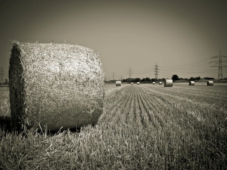 a black and white photo of hay bales in a field, inspired by David Ramsay Hay, flickr, sepia photography, industrial photography, shot on a 9.8mm wide angle lens, surrounding the city