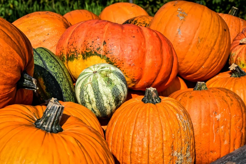 a pile of pumpkins sitting on top of each other, a picture, pexels, vivid colors!, 🦩🪐🐞👩🏻🦳, usa-sep 20, splash of color