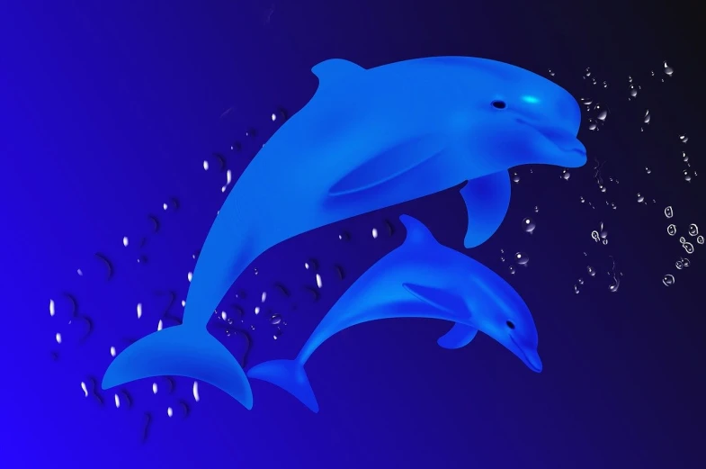 two dolphins are jumping out of the water, an illustration of, hurufiyya, stern blue neon atmosphere, family photo, wallpaper”, no watermarks