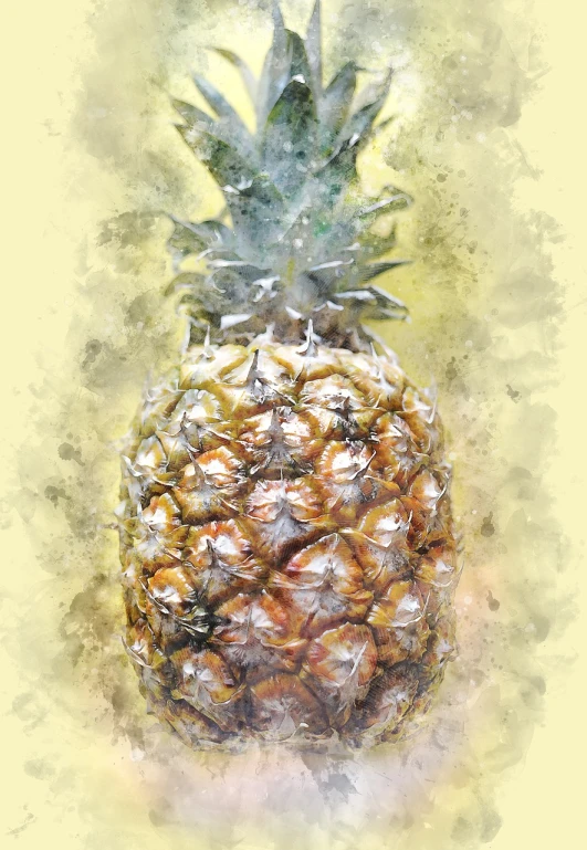 a watercolor painting of a pineapple, a digital painting, fine art, mixed media style illustration, on canvas, high detail illustration, light watercolour painting