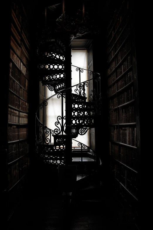 a spiral staircase in a dark room next to a window, flickr, baroque, book of kells, infinite library, wrought iron, grain”