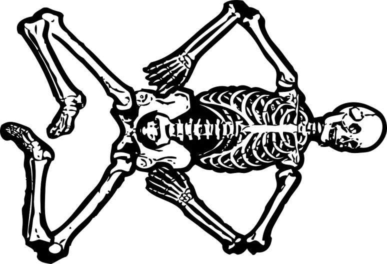 a couple of skeletons standing next to each other, an illustration of, inspired by Stephen Bone, pixabay, black backround. inkscape, neanderthal people, symmetry! human fetus, black-and-white