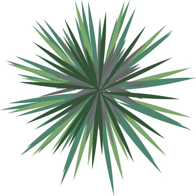 a green starburst on a black background, a digital rendering, inspired by Hasegawa Tōhaku, colorful tropical plants, simple stylized, viewed from above, celebration