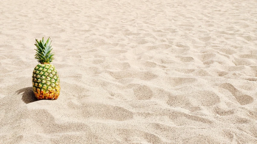 a pineapple sitting in the sand on a beach, banner, completely empty, background image, 3 4 5 3 1