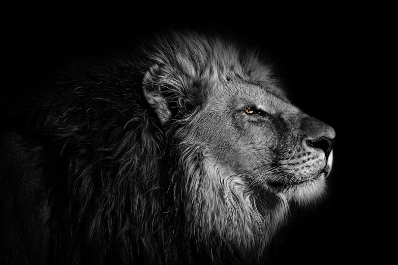 a black and white photo of a lion, trending on pixabay, fine art, hq 4k phone wallpaper, realistic digital art 4k, profile portrait, royal portrait