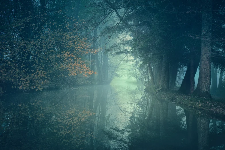 a body of water surrounded by trees on a foggy day, a picture, by Wolfgang Zelmer, shutterstock, romanticism, moonlit forest environment, magical colors and atmosphere, photography of enchanted forest, fairytale forest