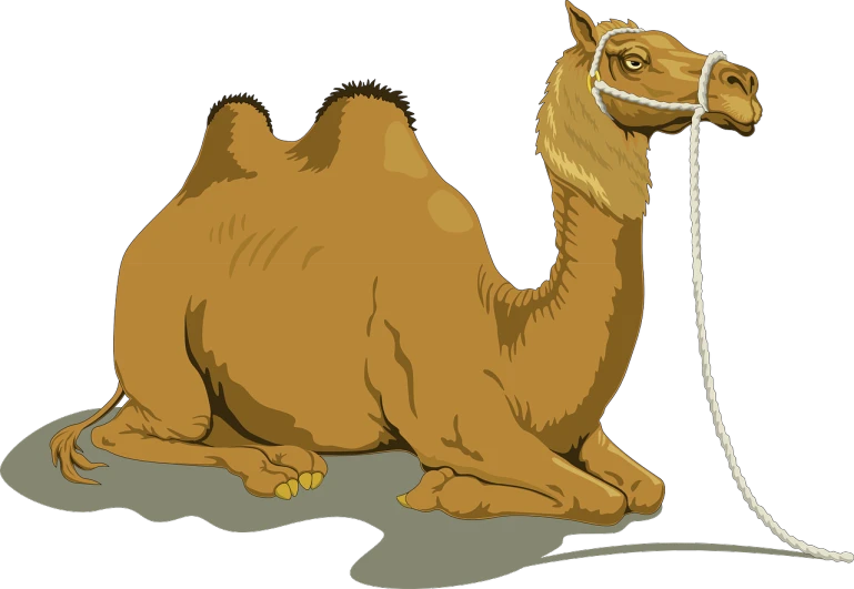 a camel sitting on the ground with a rope in its mouth, an illustration of, by Hugh Hughes, shutterstock, rasquache, on a black background, caramel, thick tail, full color illustration