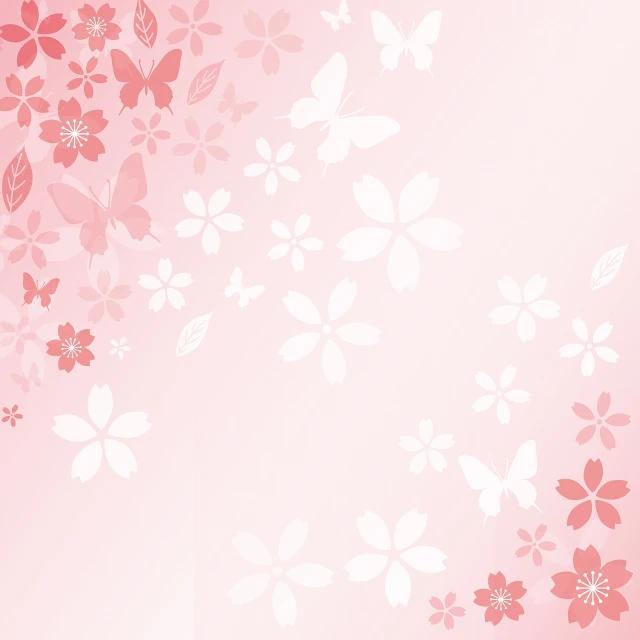 a pink background with white flowers and butterflies, a picture, sōsaku hanga, gradient light red, sakura bloomimg, turnaround, start