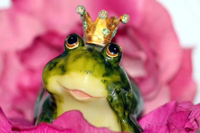 a close up of a frog with a crown on its head, a macro photograph, renaissance, coronation of the flower prince, princes jasmin, float, doing an elegant pose over you