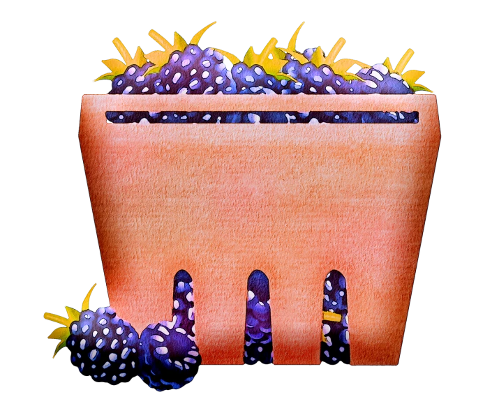 a planter filled with blackberries sitting on top of a table, a digital rendering, pointillism, closeup photo, cut, on black background, full color illustration