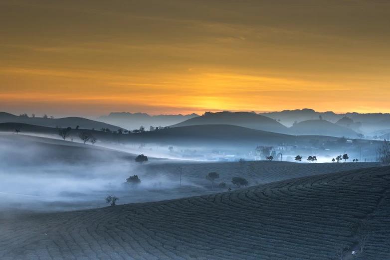 a foggy field with a sunset in the background, a matte painting, by Mark English, flickr, color field, hollister ranch, coffee, rippled white landscape, award winning landscape photo