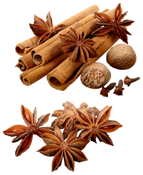 cinnamon, anise, and nutmeal on a black background, a digital rendering, dau-al-set, -h 1024, detailed and intricate image, various posed, sichuan