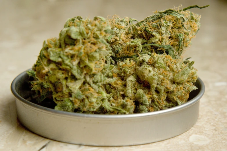 a tin of marijuana sitting on top of a counter, by Aleksander Gierymski, pixabay, hurufiyya, closeup - view, lush greens, vibrant.-h 704, profile picture