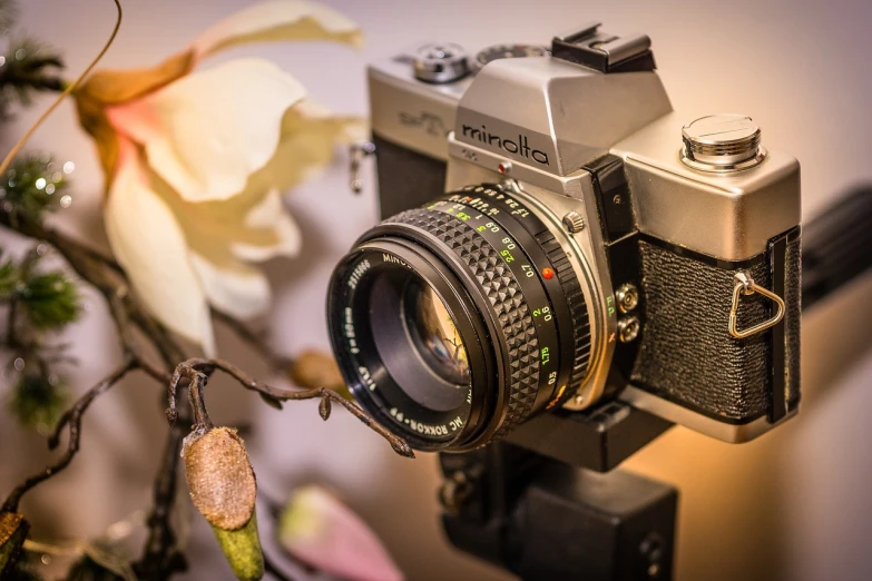 a close up of a camera with a flower in the background, by Maksimilijan Vanka, flickr contest winner, photorealism, 35mm 1990, mirrorless camera, minutely detailed, eighties amateur photography