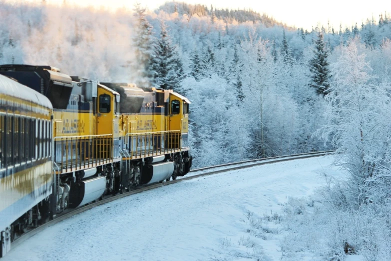 a train traveling through a snow covered forest, golden engines, silver and yellow color scheme, twins, denning