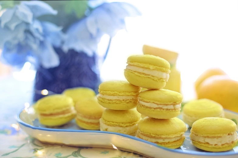 a close up of a plate of macarons on a table, inspired by Zsuzsa Máthé, blue and yellow theme, no blur dof bokeh, daisy, sunshine