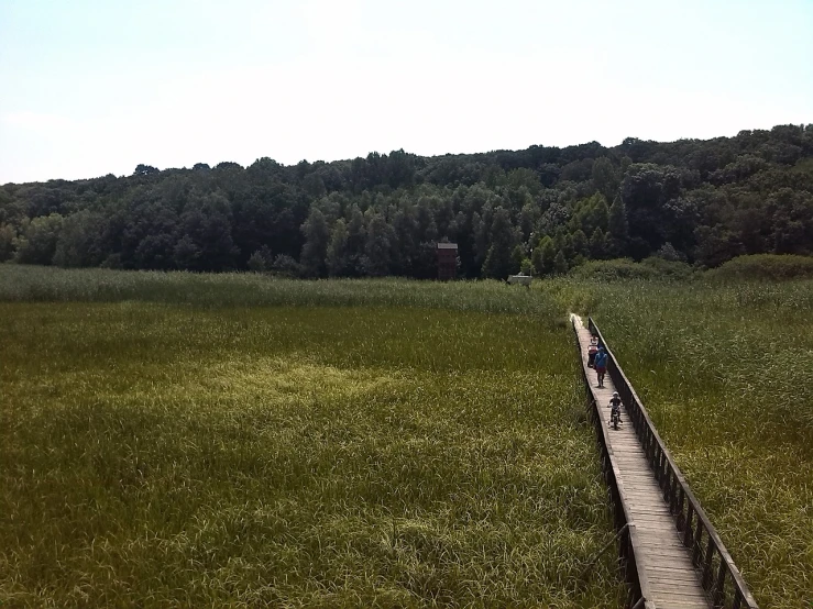 a couple of people walking across a wooden bridge, a picture, by Tadeusz Makowski, flickr, hurufiyya, verdant field in the foreground, wide high angle view, there is tall grass, on a landing pad