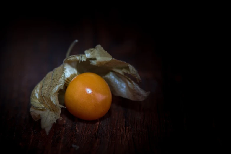 a close up of a fruit on a table, a macro photograph, by Etienne Delessert, vignetting, forest gump tomato body, bittersweet, leaf