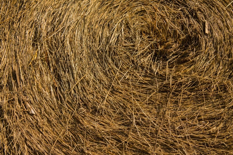 a pile of hay sitting on top of a field, a stock photo, inspired by David Ramsay Hay, shutterstock, gold leaf texture, shot with a canon 20mm lens, très détaillé, complex pattern