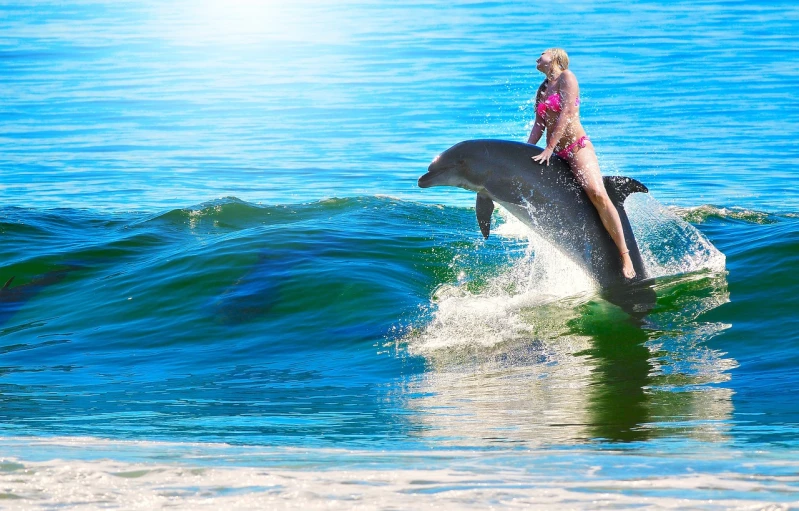 a girl riding a dolphin in the ocean, a photo, by John Luke, shutterstock, fine art, 👰 🏇 ❌ 🍃, !!natural beauty!!, beth cavener, ebay photo