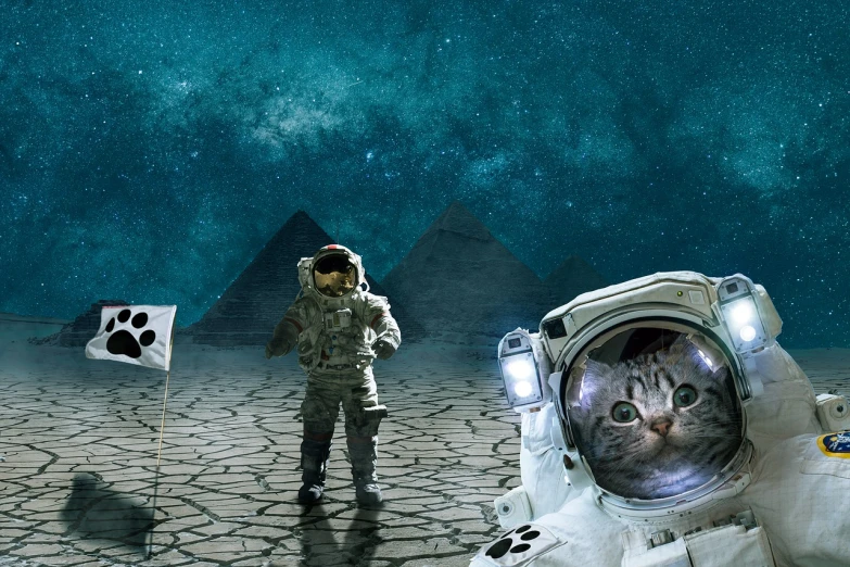 a man in a space suit standing next to a cat, pixabay contest winner, space art, pyramids, lunar busy street, photo from space, meeting of the cats