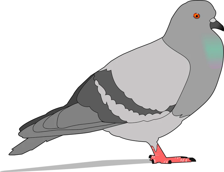 a close up of a pigeon on a black background, an illustration of, by David Budd, trending on pixabay, gray color, lineless, black and white and red colors, grey metal body