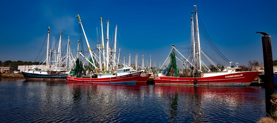 a number of boats in a body of water, by Thomas M. Baxa, pixabay contest winner, dau-al-set, shrimp, alabama, front and side views, rich vivid color