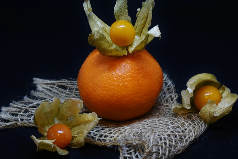 a close up of an orange on a cloth, vanitas, candy decorations, elegant composition, in style of kyrill kotashev, on a dark background