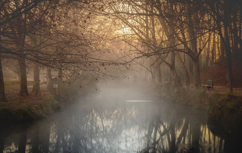 a body of water surrounded by trees on a foggy day, a picture, inspired by Eglon van der Neer, shutterstock, tonalism, river stour in canterbury, bathed in the the glow, turkey, creek