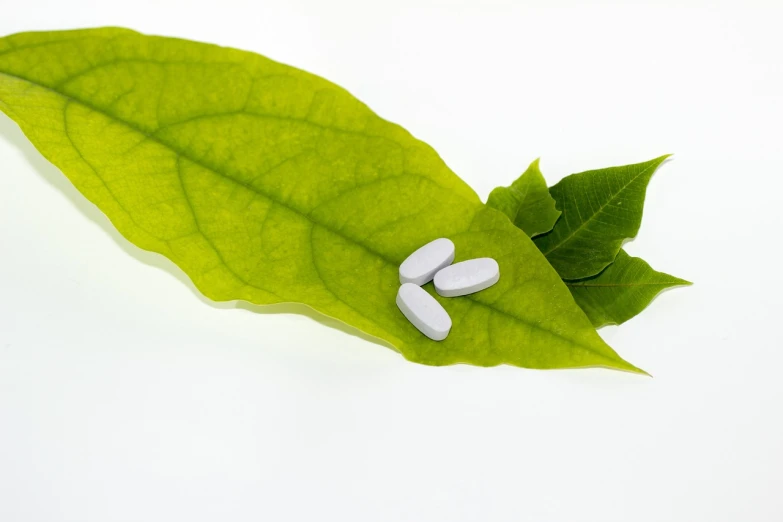 two white pills sitting on top of a green leaf, a photo, antipodeans, detailed product photo