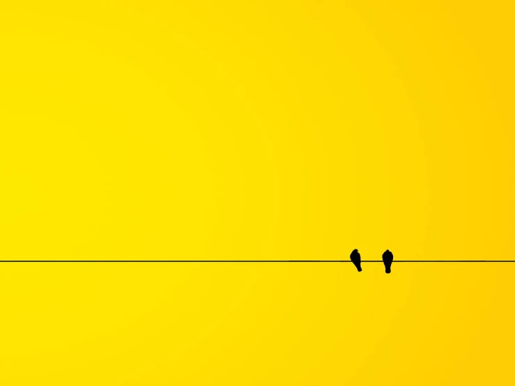 a couple of birds sitting on top of a wire, by Richard Carline, minimalism, yellow wallpaper, single color, pc wallpaper, on simple background