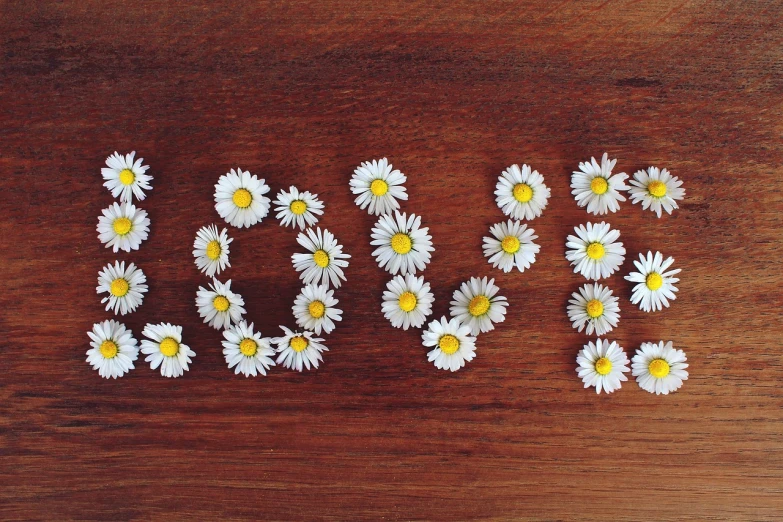 the word love spelled with daisies on a wooden surface, by Elsie Few, wallpaper aesthetic, flower power motifs, float, sarah cliff