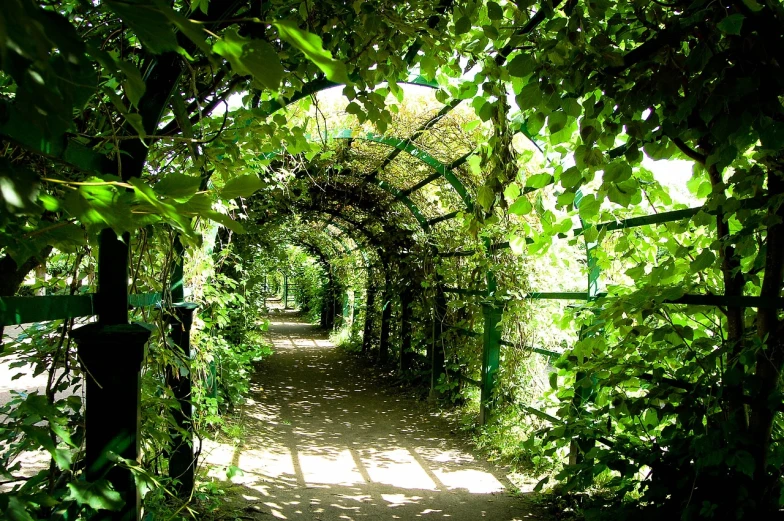 a walkway covered in lots of green plants, a photo, by Aleksander Gierymski, flickr, archway, masterpiece”