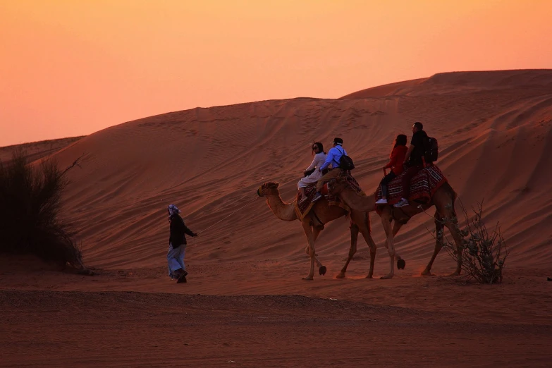 a group of people riding on the backs of camels, a picture, flickr, at dusk!, dune, arabian beauty, amber