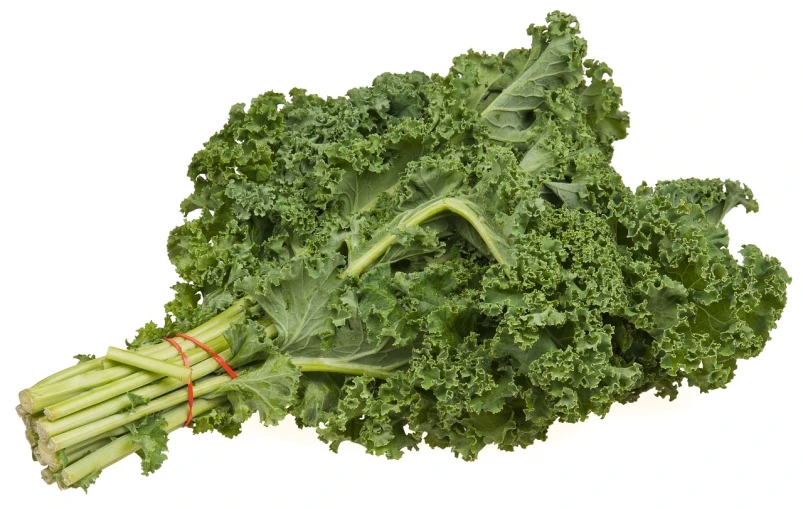 a bunch of green leafy vegetables on a white surface, by Karel Štěch, istockphoto, cutout, kidney, nug pic